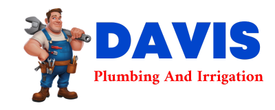 Trusted plumber in RAY CITY