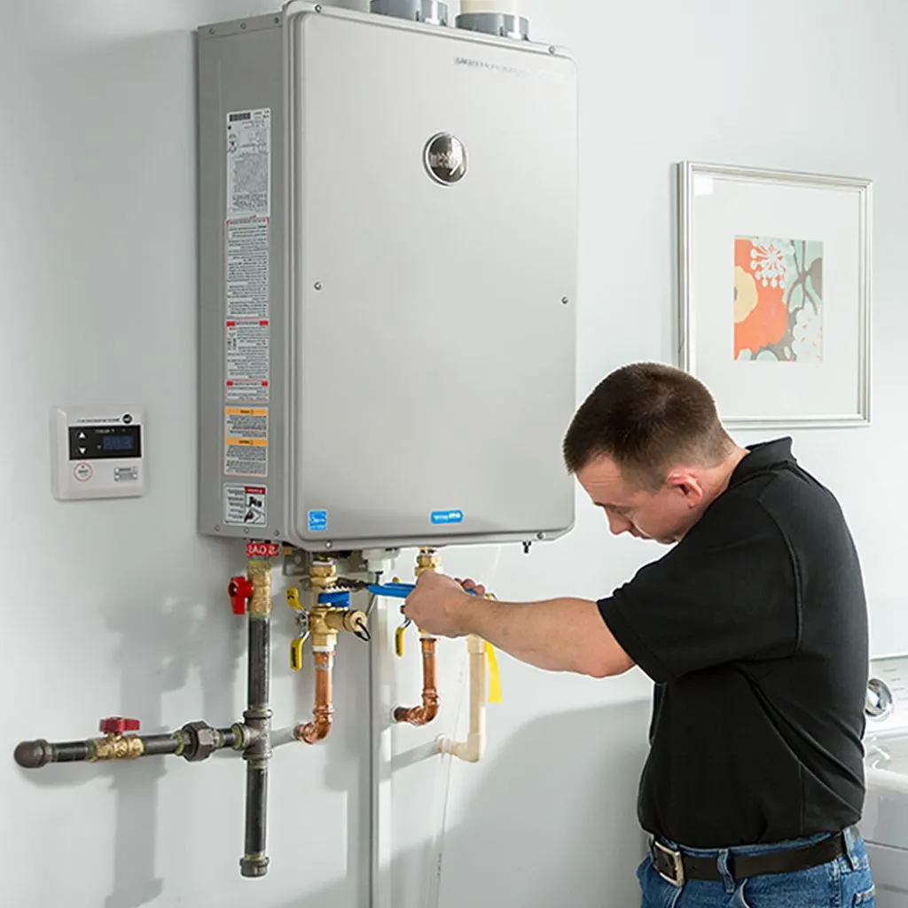 tankless water heater repair in Ray city, GA